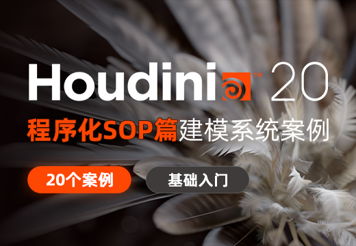 Houdini20程序化建模Sop篇系统案例【20个案例】-怪豆资源