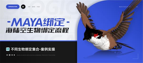 Maya生物绑定-海陆空生物绑定流程集合【案例实操】-怪豆资源
