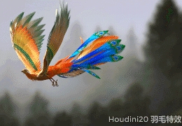 Houdini20神话生物《凤舞九天》全流程【羽毛特效】-怪豆资源