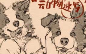 凶猛悍兔动物插画速写课2025年（高清画质带素材笔刷）-怪豆资源