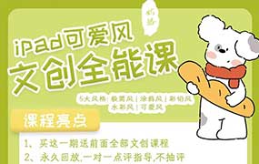 奶酪文创全能课2.0（高清画质带课件）-怪豆资源