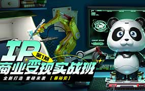 蔡裕安IP商业变现实战班第1期2024年（高清画质无素材）-怪豆资源