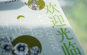 Ronny设计学堂孙容100天陪练计划平面设计100问（高清画质无素材）-怪豆资源