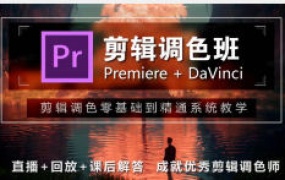 【缺】木客教育PR+达芬奇剪辑就业班第2期【画质高清有大部分素材】-怪豆资源