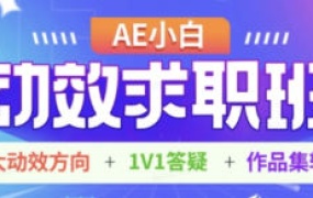 AE小白动效求职班【画质高清只有视频】-怪豆资源