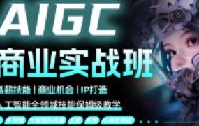 数艺社野菩萨AIGC商业实战班S11期2024【画质高清有笔记资料】-怪豆资源