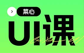 菜心UI系统提升课2.0第10期2024年（高清画质带大部分素材）-怪豆资源