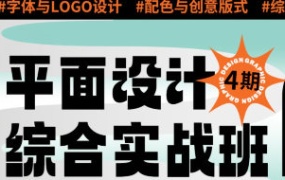 王云飞&大斌平面设计实用综合班第4期【画质高清有素材】-怪豆资源