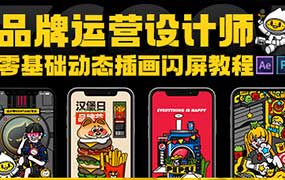 汪翔零基础动态插画闪屏制作教程品牌运营设计师入门课（高清画质无素材）-怪豆资源