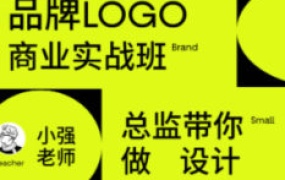 小强老师品牌LOGO商业实战班【画质高清有素材】-怪豆资源