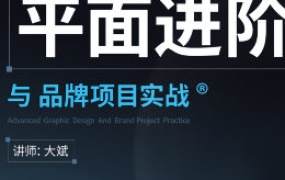 大斌平面进阶与品牌项目实战2024【画质高清有素材】-怪豆资源