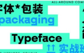 小强字体包装实战课【画质不错有大部分素材】-怪豆资源