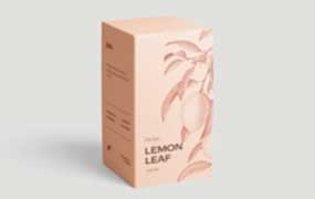 潘红旭刀版图绘制技术教程（画质清晰无素材）-怪豆资源