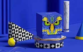 波波课堂刺猬包装全能班第15期2024年（高清画质带素材）-怪豆资源