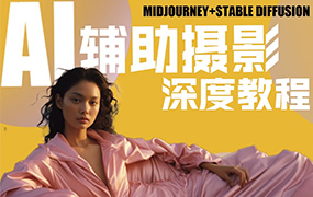 芽麦教育2024新版AI+SD摄影课程（高清画质带素材）-怪豆资源