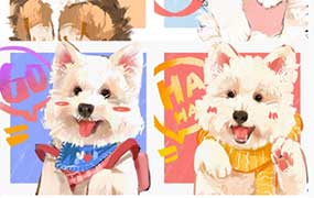 凶猛悍兔色彩专题课2025年（高清画质带课件笔刷）-怪豆资源