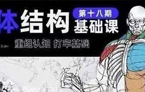 画画的春哥第18期人体结构基础课（高清画质无素材）-怪豆资源