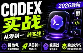 迪哥Codex智能体实战从零系统学习智能体应用2026年（画质清晰带文档）-怪豆资源