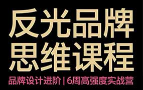 【缺】反光Studio思维品牌7.0课程2026年（画质清晰无素材）-怪豆资源
