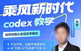 大宇从0到1学Codex实战课2026年（画质清晰无素材）-怪豆资源