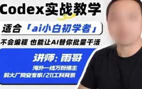 雨哥Codex实战教学2026年（画质清晰无素材）-怪豆资源