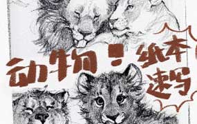 凶猛悍兔动物纸本速写2026年1-3期合集（画质清晰带课件笔刷）-怪豆资源