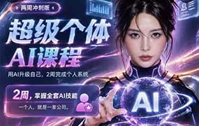 张沫凡超级个体AI课2026年8月（画质普通带课件）-怪豆资源