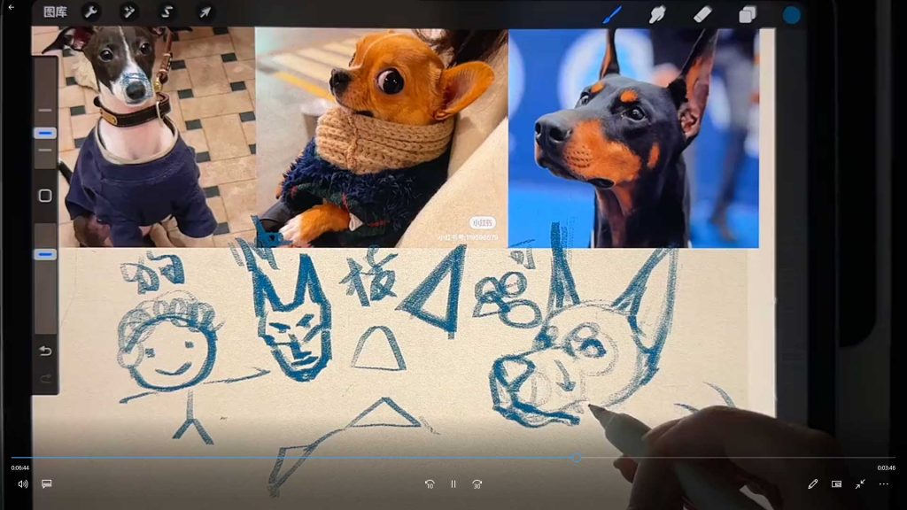 图片[2]-凶猛悍兔动物插画速写课2025年（高清画质带素材笔刷）-怪豆资源