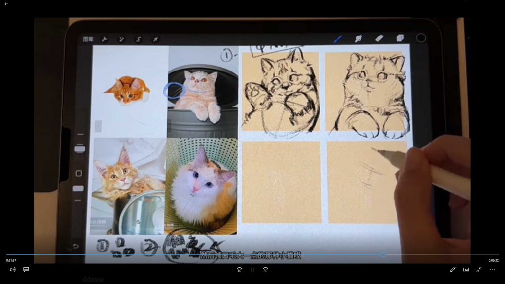 图片[3]-凶猛悍兔动物插画速写课2025年（高清画质带素材笔刷）-怪豆资源