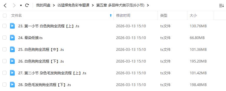 图片[2]-凶猛悍兔色彩专题课2025年（高清画质带课件笔刷）-怪豆资源