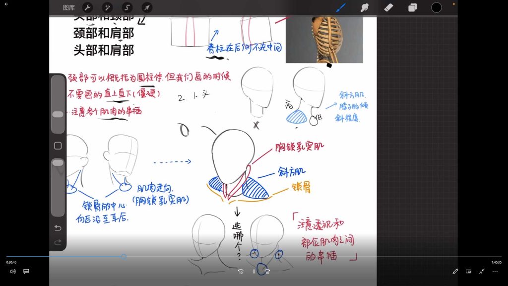 图片[2]-美美不想吃二次元正比头像团练课2026年（高清画质带课件笔刷）-怪豆资源