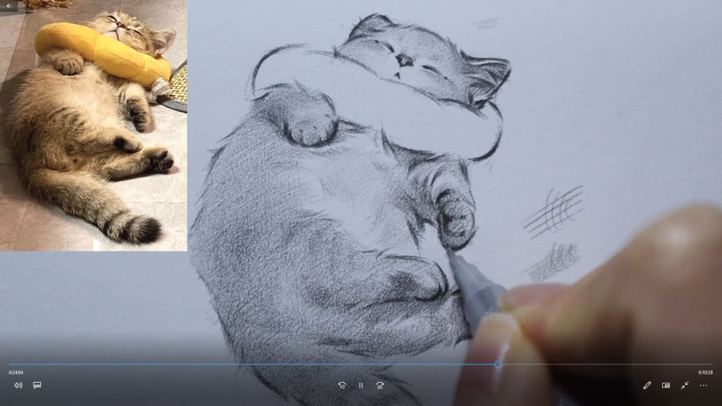 图片[3]-kim治愈系宠物素描2025年（画质清晰带资料）-怪豆资源