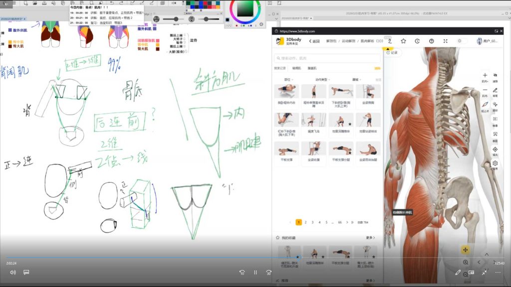 图片[2]-速写班长60天挑战赛第58期2026年（高清画质带课件笔刷）-怪豆资源